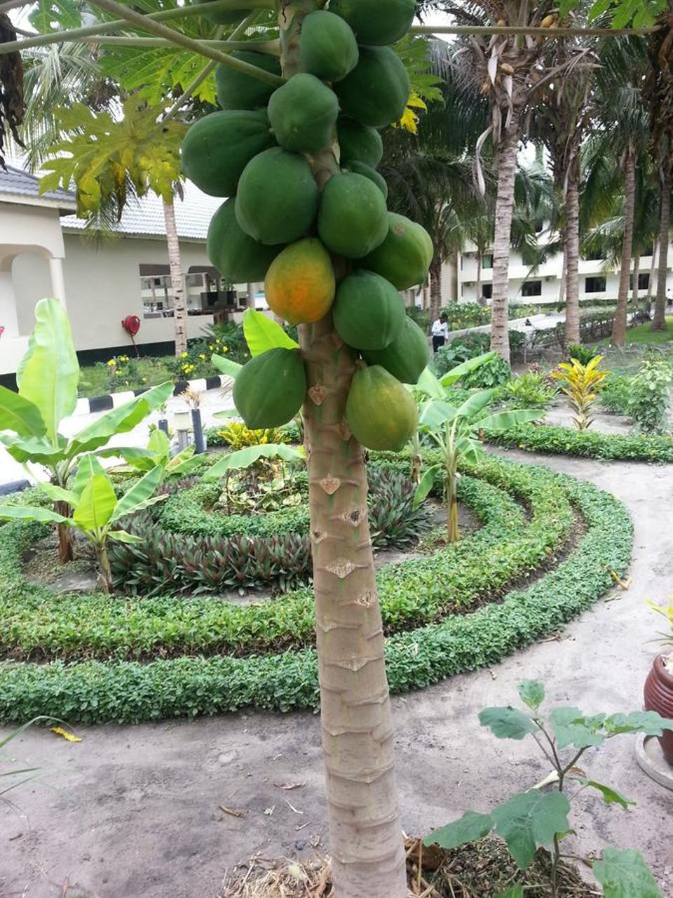 Oceanic Bay Hotel & Resort Bagamoyo Kültér fotó