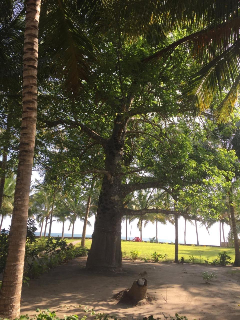 Oceanic Bay Hotel & Resort Bagamoyo Kültér fotó